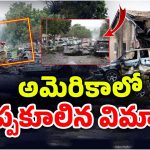 Plane Crash In America: అమెరికాలో కుప్పకూలిన విమానం.. ఇల్లు, కార్లు బొగ్గు బొగ్గు