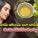 Guava Leaves For Hair Growth: జామ ఆకులను ఇలా వాడితే.. తలమోయలేనంత జుట్టు