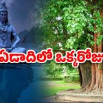 Somvati Amavasya 2025: సోమవతి అమావాస్యం 26న.. ఆ రోజు స్పెషలేంటి?
