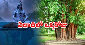 Somvati Amavasya 2025: సోమవతి అమావాస్యం 26న.. ఆ రోజు స్పెషలేంటి?