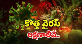 Cleanest Airports: ప్రపంచంలో క్లీనెస్ట్ ఎయిర్ పోర్టులు ఇవే, చిన్న చిత్తు కాగితం కూడా కనిపించదు!