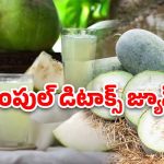 Ash Gourd Health Benefits: బూడిద గుమ్మడికాయతో ఎన్ని ఆరోగ్య లాభాలో
