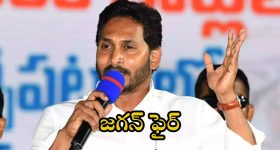 YS Jagan: రాష్ట్రంలో ఆరాచక పాలన.. జగన్ సంచలన వ్యాఖ్యలు