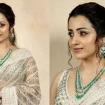 Trisha Krishnan: హీరోయిన్ కాకపోయింటే ఏమయ్యేదో తెలుసా..అందుకేనా ఇదంతా..?