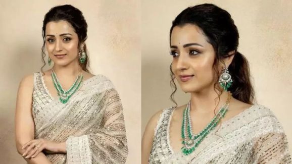 Trisha Krishnan: హీరోయిన్ కాకపోయింటే ఏమయ్యేదో తెలుసా..అందుకేనా ఇదంతా..?