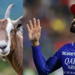 RCB Fan Arrest : కోహ్లీ ఫ్యాన్స్ రచ్చ… మేక బలి.. ముగ్గురు ఫ్యాన్స్ అరెస్ట్