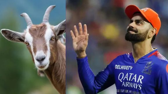RCB Fan Arrest : కోహ్లీ ఫ్యాన్స్ రచ్చ… మేక బలి.. ముగ్గురు ఫ్యాన్స్ అరెస్ట్