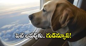 Terrorist Saifullah Khalid: మోస్ట్ డేంజర్ టెర్రరిస్ట్ సైఫుల్లా ఖలీద్ హతం.. ఎలా చంపారంటే?
