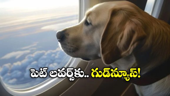 Pet Dogs: ఫ్లైట్ లో ఆ కుక్కలను తీసుకెళ్లొచ్చట, విమాన సంస్థల కీలక నిర్ణయం!