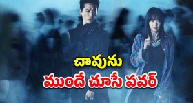 Viral Video: కుక్కలకు కూడా రాజు ఉంటాడా? ఇది చూస్తే మీ కళ్లను మీరే నమ్మలేరు!