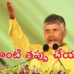 CM Chandrababu: ఆ వార్తలు అబద్దం.. కర్ణాటక ప్రజల అపోహ, నా చరిత్రలో లేదన్న సీఎం చంద్రబాబు