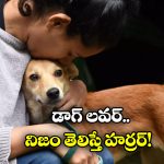 Stray Dogs: కుక్కలపై ప్రేమ.. అసలు కథ తెలిసి అంత షాక్, ఇదేం అలవాటే తల్లి!