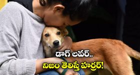 Corona Virus : కరోనా డబుల్ అటాక్.. కేసులు రప్పారప్పా..