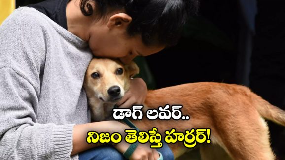 Stray Dogs: కుక్కలపై ప్రేమ.. అసలు కథ తెలిసి అంత షాక్, ఇదేం అలవాటే తల్లి!