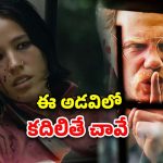 OTT Movie : దట్టమైన అడవిలో ఆగమయ్యే ఒంటరి అమ్మాయి… చచ్చే అమ్మాయిని ఆపి మరీ చంపే సైకో
