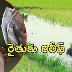MISS Scheme: రైతులకు శుభవార్త.. ఇంకెందుకు ఆలస్యం,  3 లక్షల వరకు