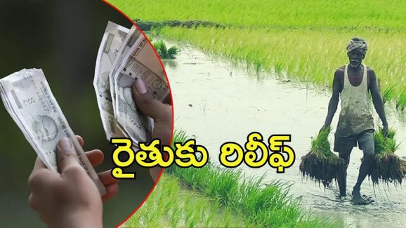 MISS Scheme: రైతులకు శుభవార్త.. ఇంకెందుకు ఆలస్యం,  3 లక్షల వరకు