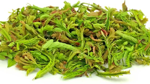 Tamarind Leaves: పుల్లపుల్లగా ఉండే చింత చిగురు తింటే.. చింత లేకుండా ఉండవచ్చు