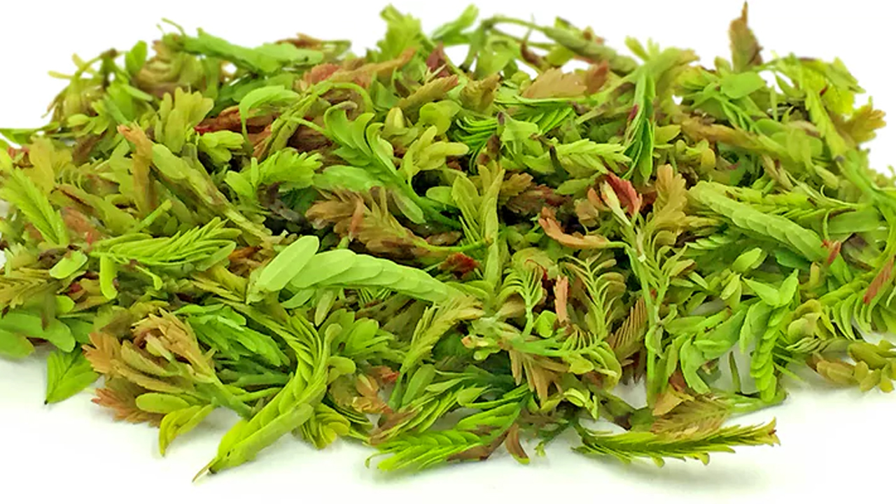 Tamarind Leaves: పుల్లపుల్లగా ఉండే చింత చిగురు తింటే.. చింత లేకుండా ఉండవచ్చు