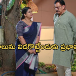 Gundeninda GudiGantalu Today episode: మీనాకు నిజం చెప్పిన బాలు.. రోహిణి దిమ్మతిరిగే షాక్..