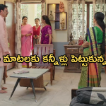 Gundeninda GudiGantalu Today episode: ఆటో డ్రైవర్ గా మారిన బాలు.. పార్వతిని అవమానించిన ప్రభావతి..