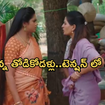 Illu Illalu Pillalu Today Episode: నర్మద కోసం ప్రేమ టెన్షన్.. శ్రీవల్లి గురించి నిజం తెలుసుకున్న నర్మదా.. వేదవతికి టెన్షన్..