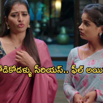 Illu Illalu Pillalu Today Episode: నర్మదను చూసి శ్రీవల్లికి కడుపుమంట.. సాగర్ పై రామారాజుకు అనుమానం..