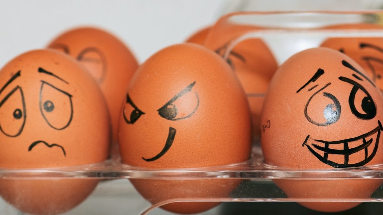Rotten Eggs: కుళ్లిన గుడ్డు తింటే ఎంత ప్రమాదమో తెలుసా? గుడ్డు తాజాగా ఉందో లేదో ఇలా చెక్ చేయండి..
