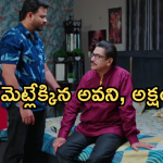 Intinti Ramayanam Today Episode: అవనితో విడాకులు తీసుకోబోతున్న అక్షయ్.. పల్లవి ప్లాన్ సక్సెస్ అయ్యిందా..?