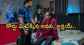 Intinti Ramayanam Today Episode: అవనితో విడాకులు తీసుకోబోతున్న అక్షయ్.. పల్లవి ప్లాన్ సక్సెస్ అయ్యిందా..?