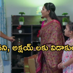 Intinti Ramayanam Today Episode: అవని, అక్షయ్ లకు ఆరాధ్య కండీషన్.. కమల్ ప్లాన్ సక్సెస్.. పల్లవికి అనుమానం..