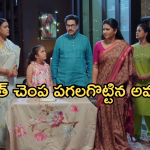 Intinti Ramayanam Today Episode: అవనికి నిజం చెప్పిన కమల్.. అవనికి అక్షయ్ విడాకులు..   పార్వతికి గూబ గుయ్యిమనిపించిన కమల్..
