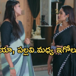 Intinti Ramayanam Today Episode: కంపెనీని చేజిక్కించుకోవడానికి పల్లవి మాస్టర్ ప్లాన్.. అక్షయ్ కు క్లాస్ పీకిన శ్రీకర్..