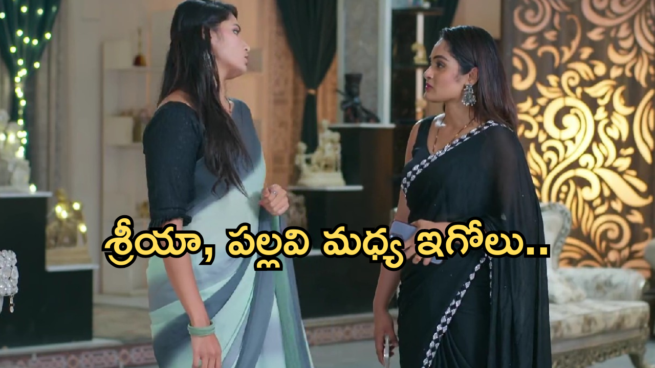 Intinti Ramayanam Today Episode: కంపెనీని చేజిక్కించుకోవడానికి పల్లవి మాస్టర్ ప్లాన్.. అక్షయ్ కు క్లాస్ పీకిన శ్రీకర్..
