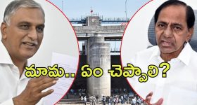 KCR With Harish Rao: ముచ్చటగా మూడోసారి.. కేసీఆర్‌తో హరీష్ భేటీ, ఆ విధంగా ముందుకు