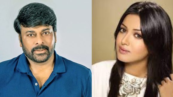 Chiranjeevi: మెగాస్టార్ సినిమాలో బన్నీ హీరోయిన్… ఇంక ఎంతమంది ఉన్నారయ్య అనిల్