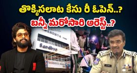 Sandhya Theatre Stampede : తొక్కిసలాట కేసులో పోలీసులకు, బన్నీకి షాక్... రంగంలోకి హ్యూమన్ రైట్స్ కమిషన్
