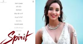 Tripthi Dimri: దీపికా కంటే త్రిప్తి రెమ్యూనరేషన్ మరీ అంత తక్కువనా.... వంగా నిర్ణయం సరైనదేనా?
