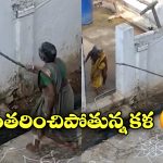 Viral Video: కర్రలతో కొట్టుకున్న బామ్మలు.. భవిష్యత్తులో ఇలాంటివి చూడలేం ఏమో!?