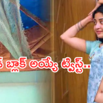 Poonam Kaur Movie : బాబోయ్… బో**…. పూనమ్ కౌర్ విశ్వరూపం చూపించే సినిమా ఓటీటీలోకి వచ్చేసింది..