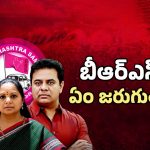 Telangana Politics: బీఆర్ఎస్‌లో ఏం జరుగుతోంది?