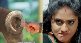 Tv Serial: ఏంటి మామ ఈ గ్రాఫిక్స్.. టీఆర్పీ కోసం బకరాలను చేస్తున్నారే..