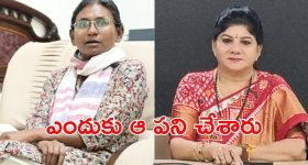 Telangana Congress: సునీతారావును ప్రశ్నించిన మీనాక్షి.. తెలంగాణ పీసీసీలో కొత్త కమిటీలు