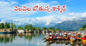 Kashmir Tour Cancels: ఉగ్ర దాడి ప్రభావం.. వెల వెల బోతున్న టూరిస్ట్ స్పాట్‌లు