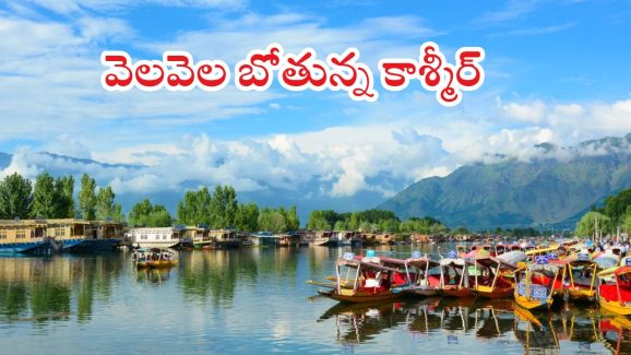 Kashmir Tour Cancels: ఉగ్ర దాడి ప్రభావం.. వెల వెల బోతున్న టూరిస్ట్ స్పాట్‌లు