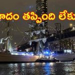 NewYork City: న్యూయార్క్‌ సిటీ.. బ్రూక్లిన్ బ్రిడ్జిని ఢీకొన్న నౌక