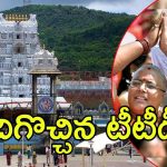 Tirumala News: దర్శనం కోసం ఓ భక్తుడి పోరాటం, వెనక్కి తగ్గిన టీటీడీ, ఏం జరిగింది?