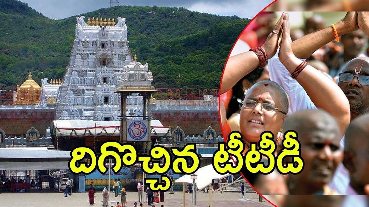 Tirumala News: దర్శనం కోసం ఓ భక్తుడి పోరాటం, వెనక్కి తగ్గిన టీటీడీ, ఏం జరిగింది?