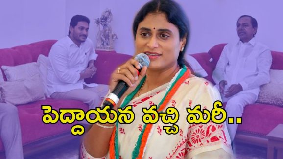 Phone Tapping: ఫోన్ ట్యాపింగ్‌పై షర్మిల కామెంట్స్.. ఆయన స్వయంగా వచ్చి చెప్పారు