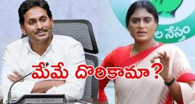 Mammootty: అస్వస్థతకు గురైన మమ్ముట్టి.. అసలు విషయంపై ఎంపీ క్లారిటీ!